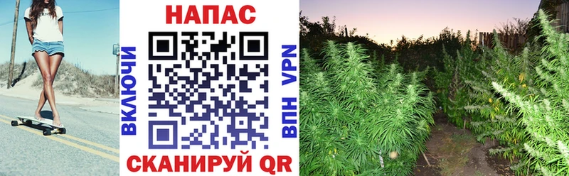 Мефедрон Шацк