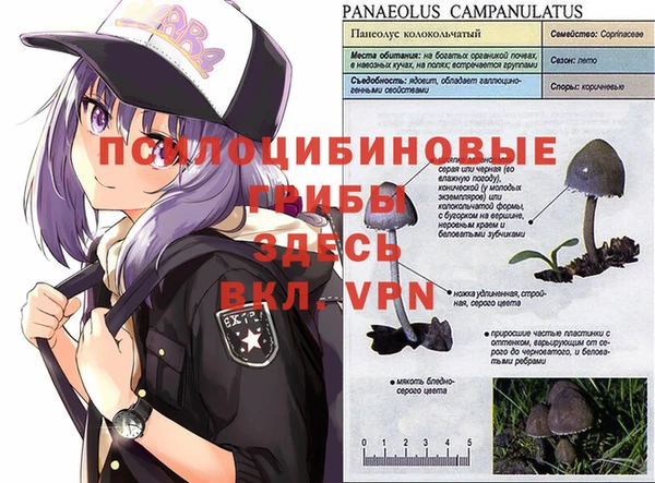 а пвп мука Покров